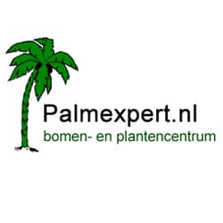Palmexpert logo